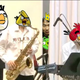 Illustration for article titled Kotaku 'Shop Contest: Backstage at Nintendo World Winners